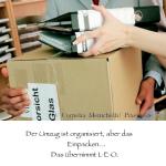 images/leo/service_examples/Ordnen.jpg