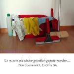 images/leo/service_examples/Reinigen.jpg